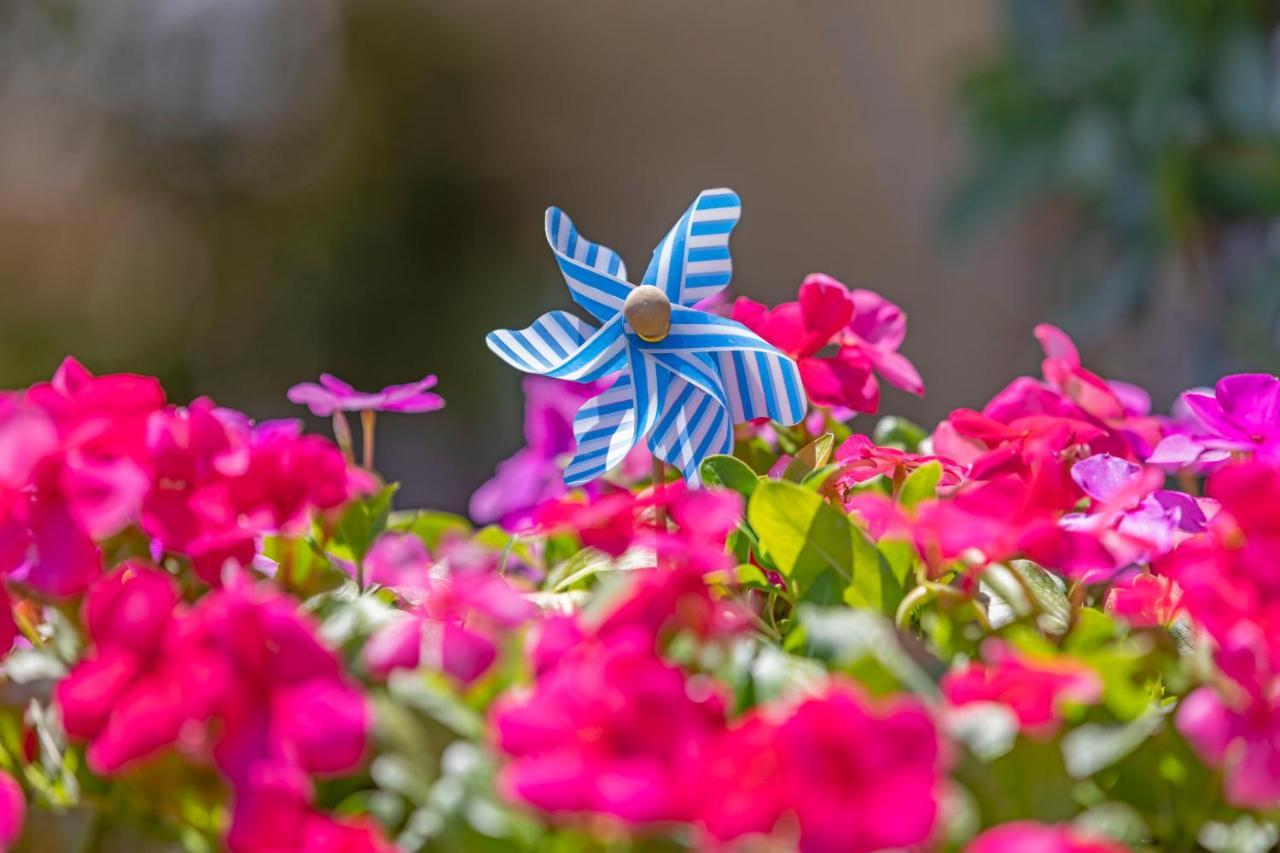 Villa Casa di Gianna Faliraki Esterno foto
